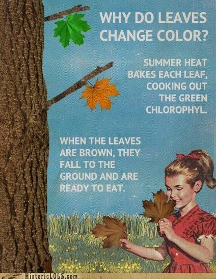 Leafs