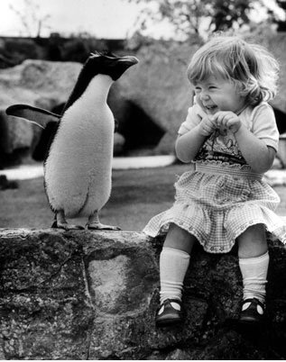Penguin Liebe
