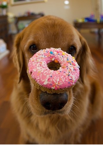 Mmm Donuts