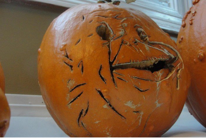 Immer Pumpkin