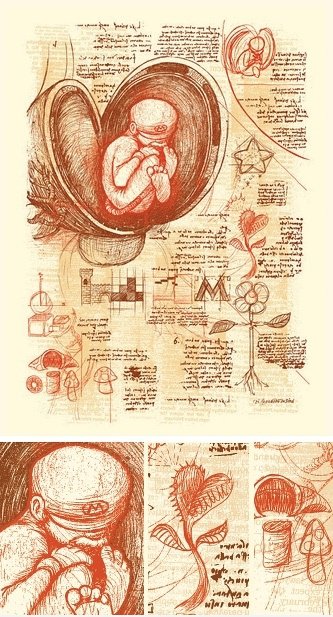 DaVinci Mario