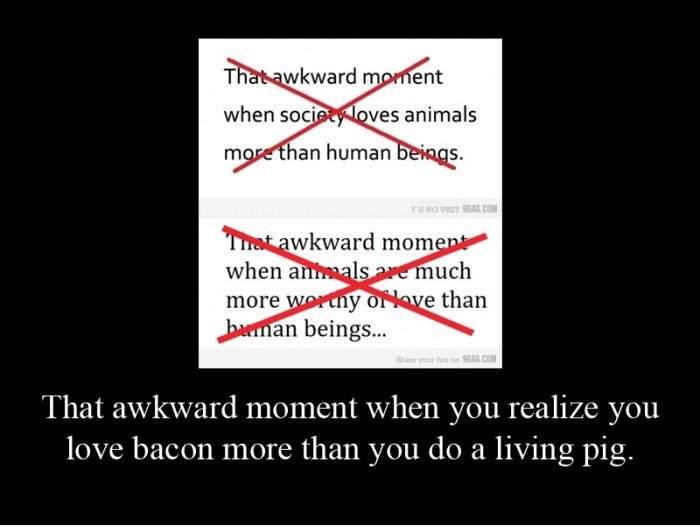 Society behoben ... [Fixed]