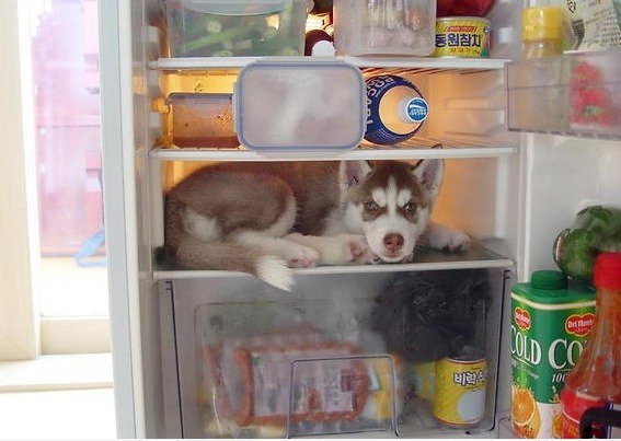 Was guckst du?