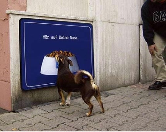 Dog Fail-