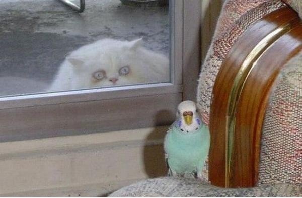 Охотник
