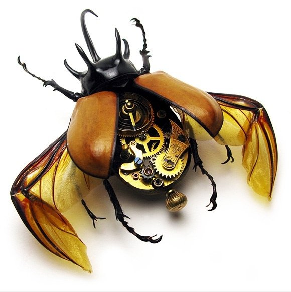 Insect Lab