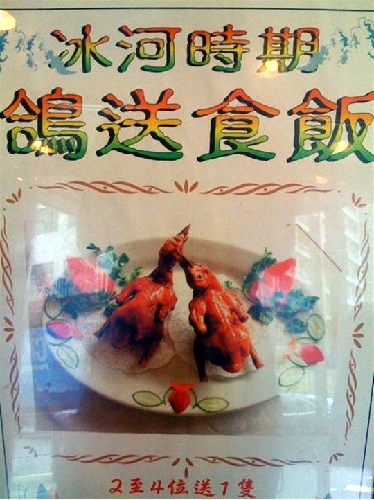 冰河 时期, 鸽 送 食饭
