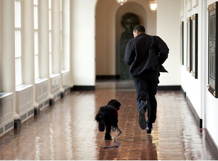 Führen Obama Run