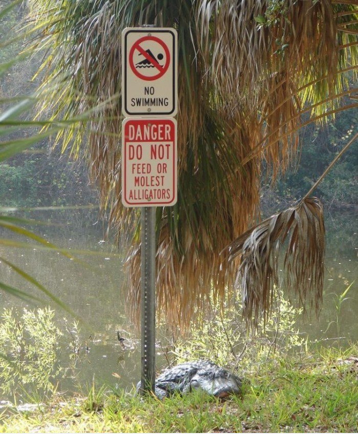 No swimming