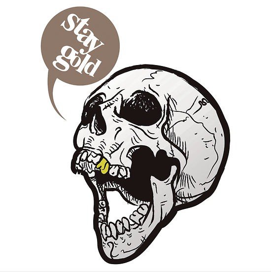 Stay Gold Bro '!