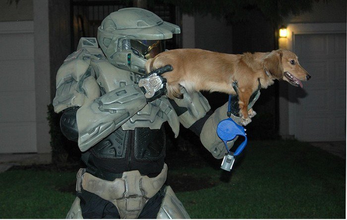Halo