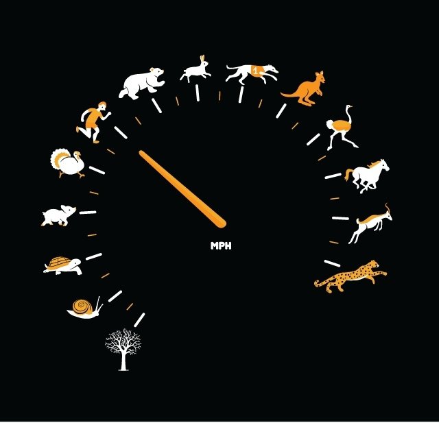 As Fast As I Can