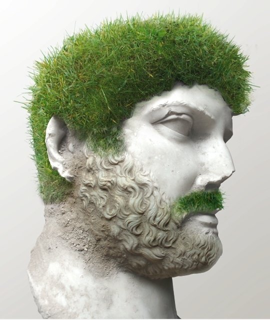 Grass Leiter