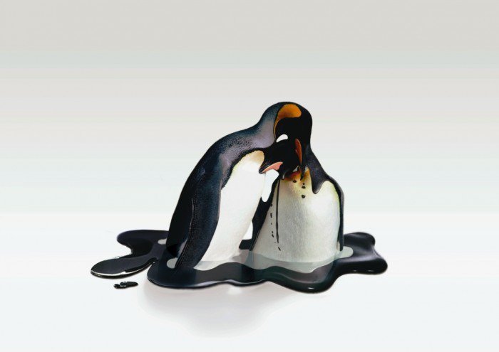 Global Warming: Penguin