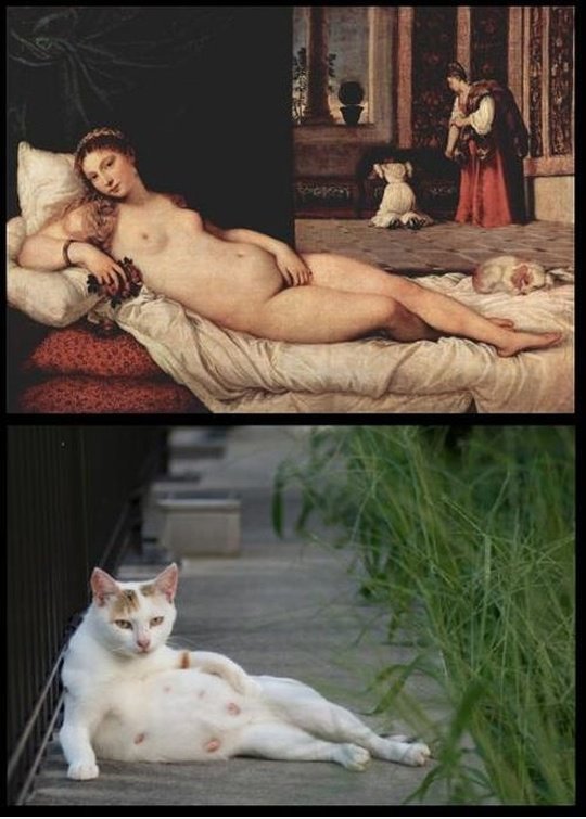 Gleiche Pose ...