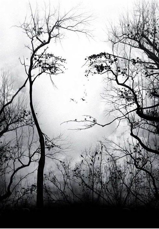 Gesicht