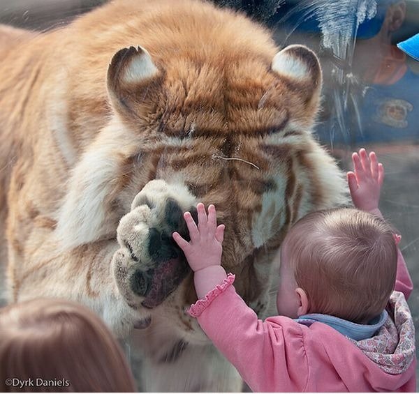 Give me 5