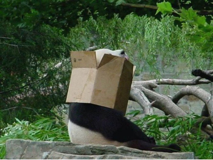 Meine neue Kleider