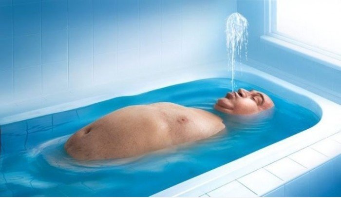 Whale?