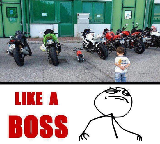 Like a Boss