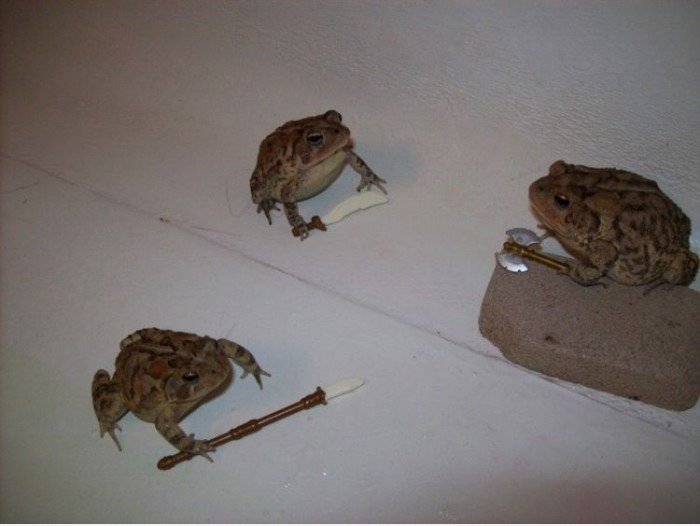 Soldiers, ist es Zeit zu kämpfen