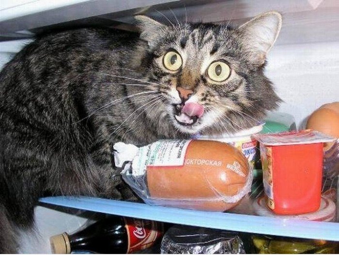 Busted