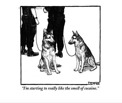 Police Dogs