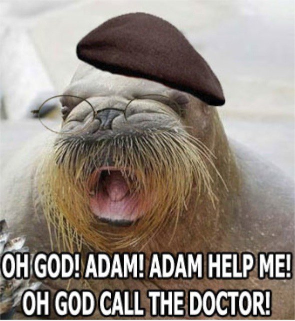 Bahhahahahah XD