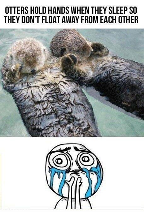 cuteness overload