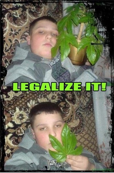 Dude ... legalisieren oder nicht, im immer noch hoch