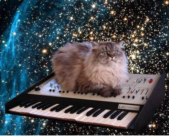9 Leben durch den Raum fliegen auf einem Synthesizer