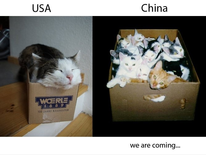 Keine Notwendigkeit zu einem gewissen Grad in der Geopolitik haben zu verstehen ...