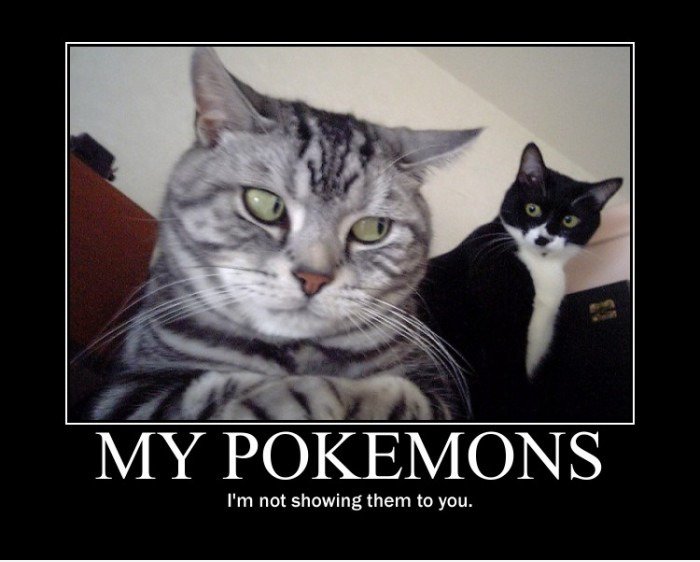 Meine Pokemons ...