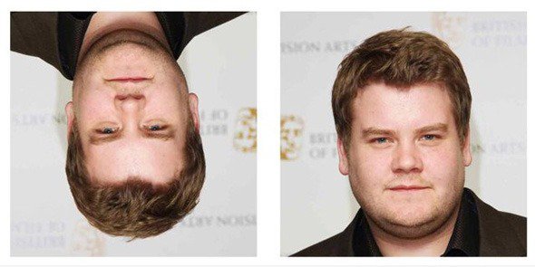 Die Fat Face Thin Illusion