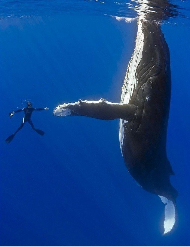 High five, Hell Yeah!