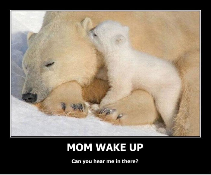Mama Bär
