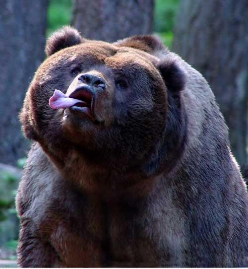 : P