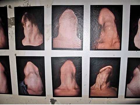 Neck Um Jaw.