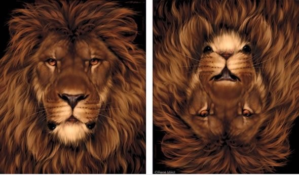 Lion And Mouse.