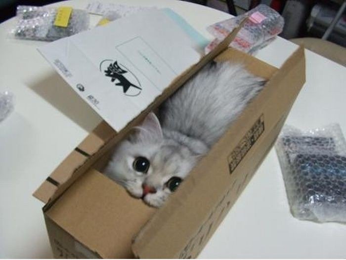 : 3