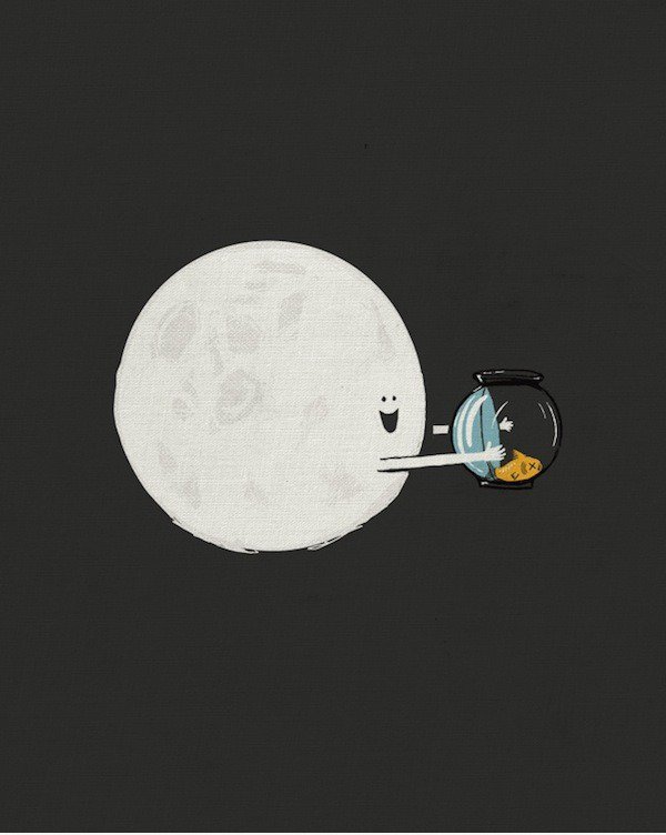 Moon <3 Goldfish
