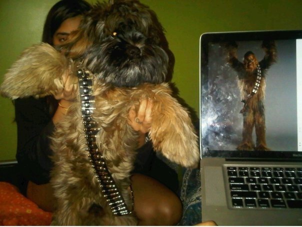 Guck mal, wer ich gefunden ...!