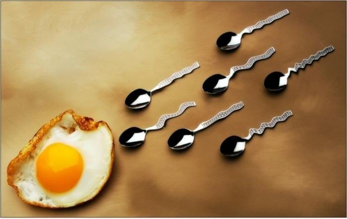 Eier und Spons