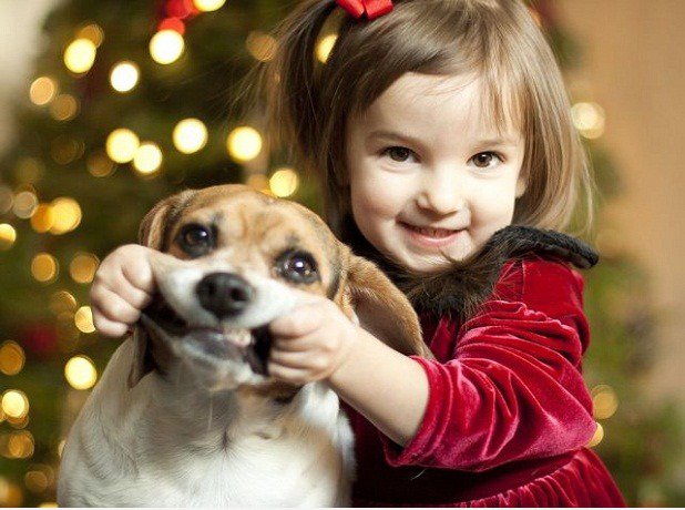 C'mon doggie, es ist Weihnachten! Smile!