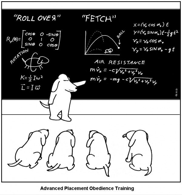 Doggie School.