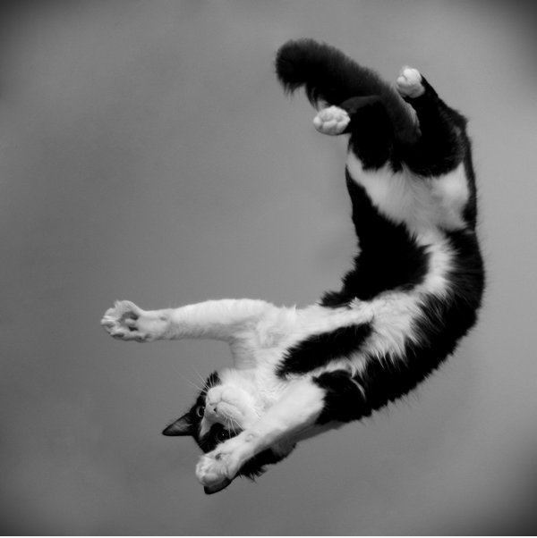 Bicycle Kick