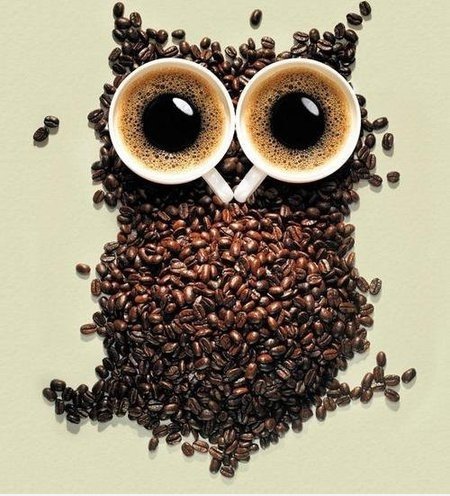 The Coffee Owl