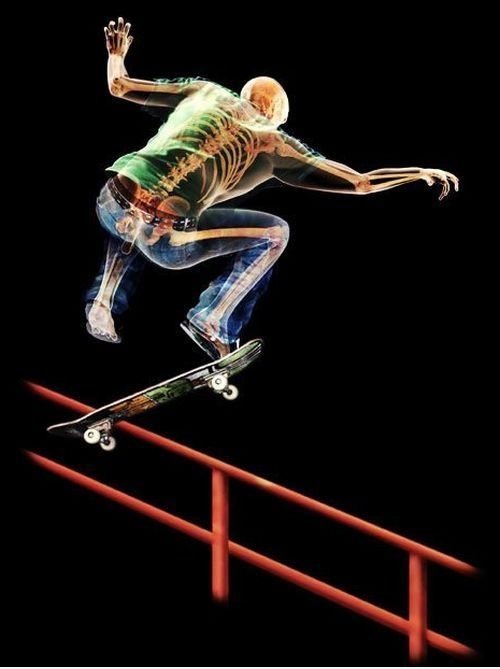 Skeleton Skating