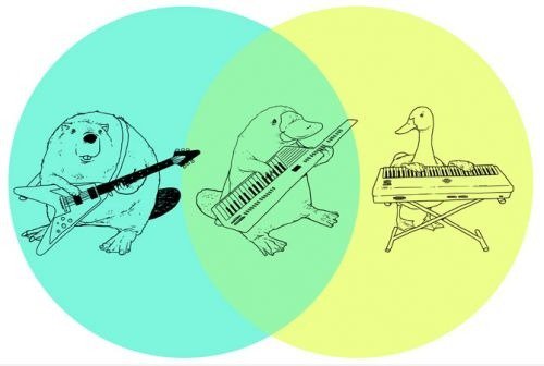 Ente + Biber