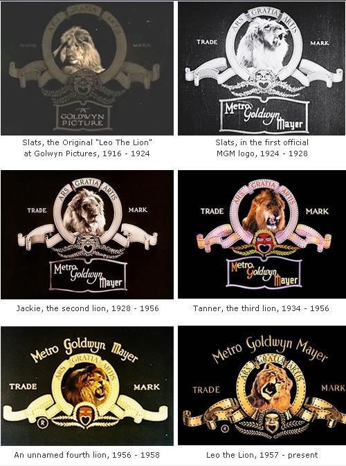 Die Metro-Goldwyn-Mayer Löwen